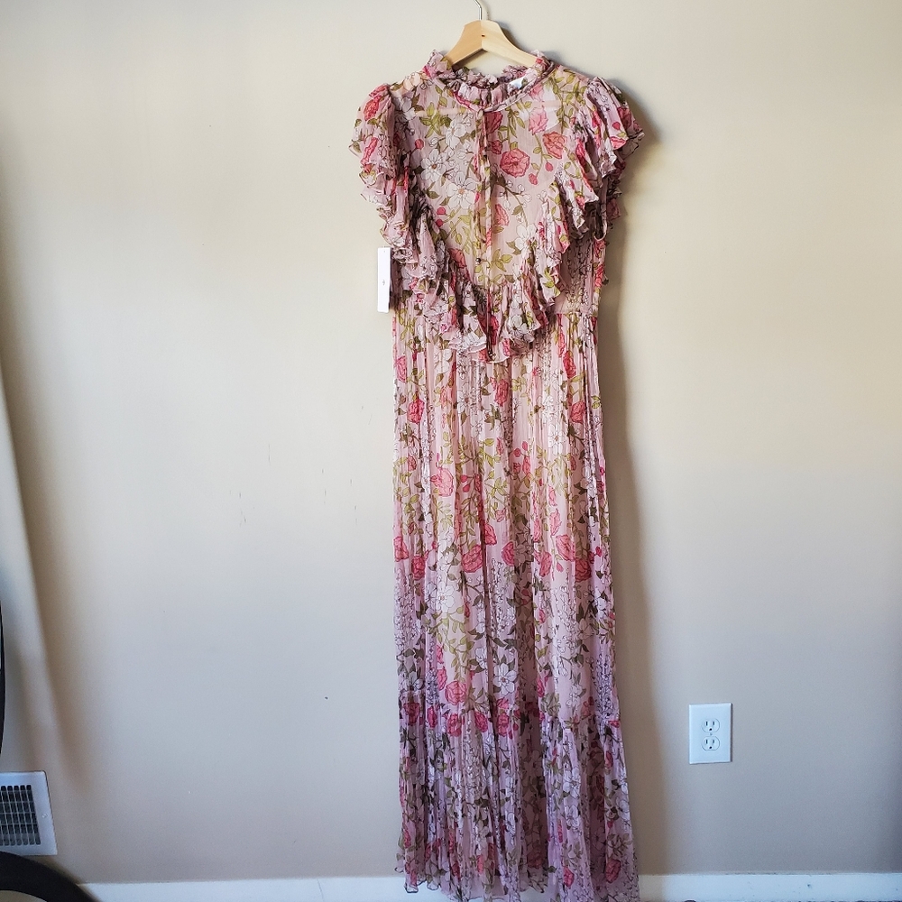BHLDN Sheer Floral Ruffle Chiffon Maxi Dress - Picture 6 of 8